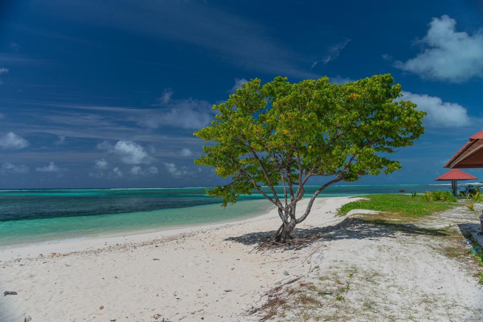 Chao Guest House Maafushi Luaran gambar